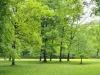 info_generali_thumbnail